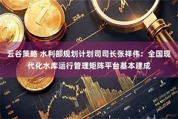 云谷策略 水利部规划计划司司长张祥伟：全国现代化水库运行管理矩阵平台基本建成