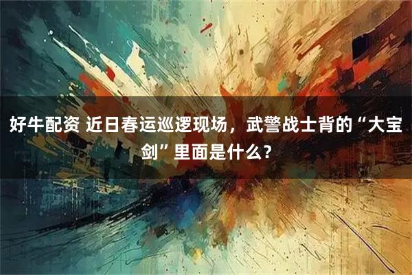 好牛配资 近日春运巡逻现场，武警战士背的“大宝剑”里面是什么？