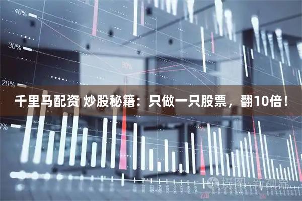 千里马配资 炒股秘籍：只做一只股票，翻10倍！