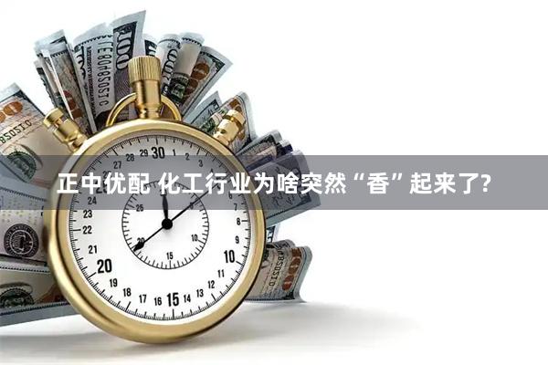 正中优配 化工行业为啥突然“香”起来了?